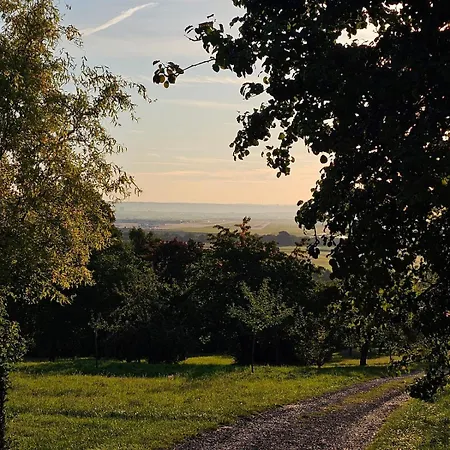 Apartment Am Waldrand Mit Einzelgarage, Nähe City, Messe&flughafen