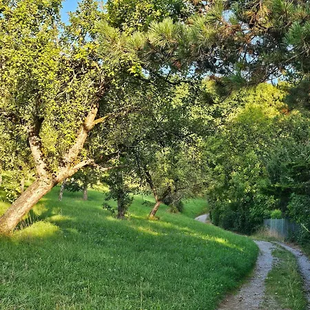 Am Waldrand Mit Einzelgarage, Nähe City, Messe&flughafen Apartment *